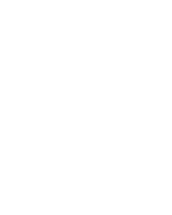 NpEx Logo